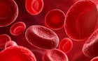 Blood Sugar Balance